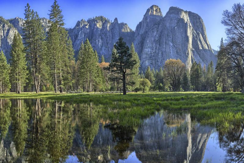 Yosemite National Park Day Tour