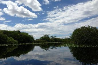 Everglades Airboat Adventure with Transportation & Biscayne Boat Tour