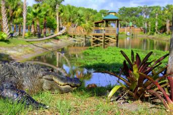 Wild Florida Wildlife Park Admission