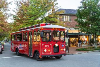Hop-on/Hop-off Trolley Tour of Asheville
